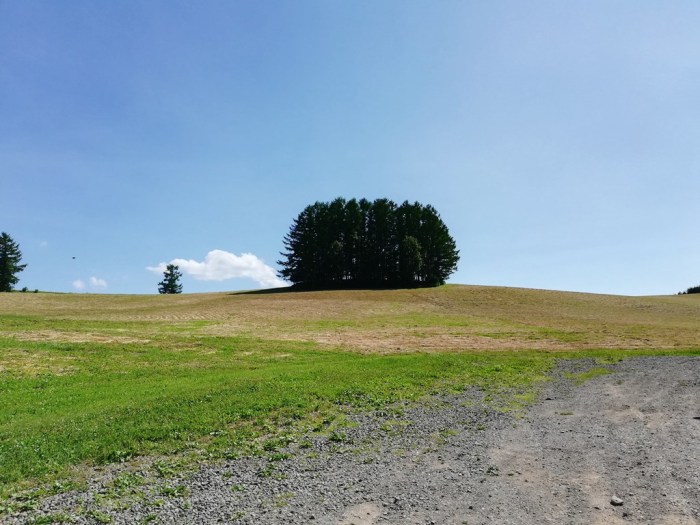 マイルドセブンの丘からの星空☆ – 北海道の星空ドットコム