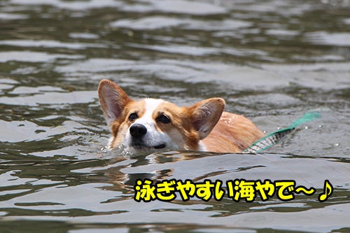 池の浦シーサイドパーク観光スポット観光三重 かんこうみえ