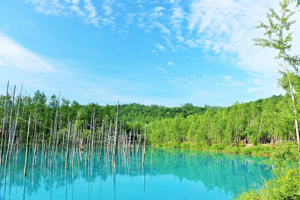 久しぶりのキャンプ🏕️camp blackishgear_officialwhatwewantnerudesignworksballisticsinoutgeekfieldボンボネロ歩歩是道具店hohokore_toolsサンゾー工務店yodogawaガレージbonboneroki_noキャンプキャンプ好きキャンプ道具キャンプ