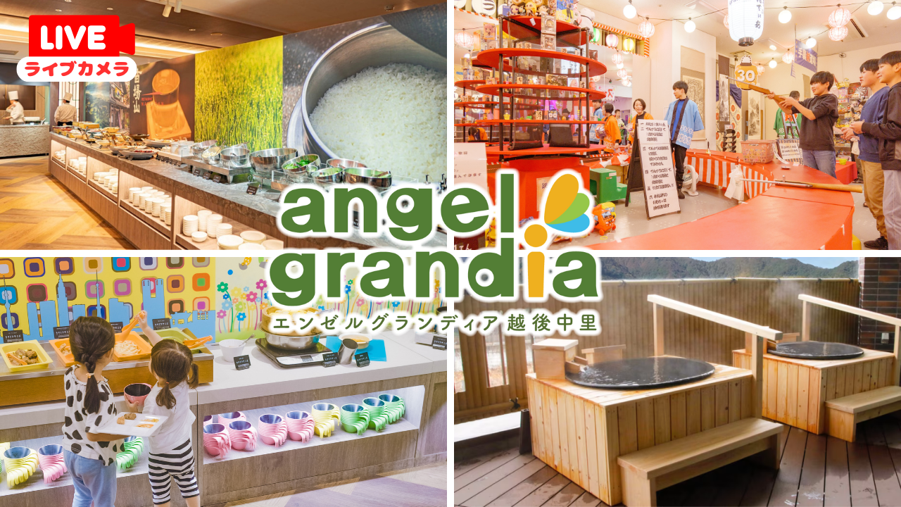 WIFIバードボックスカメラ5MP2MP防水IRナイトビジョンIPCスーツキットウォッチライブまたは記録された巣箱の映像を使用して