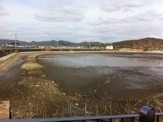 倉敷野池、釣り禁止情報オカドバ ～おかっぱり専門ド素人バサーの釣行記～