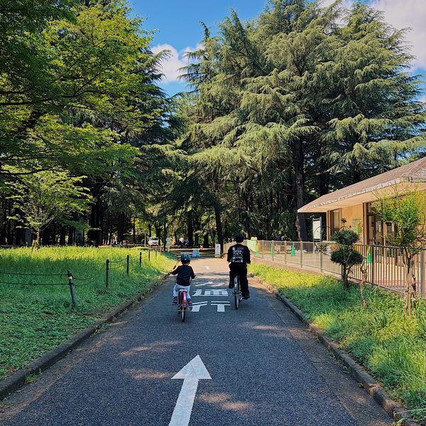 代々木公園 東京都渋谷区 緑地エリアとスポーツエリア│公園図鑑