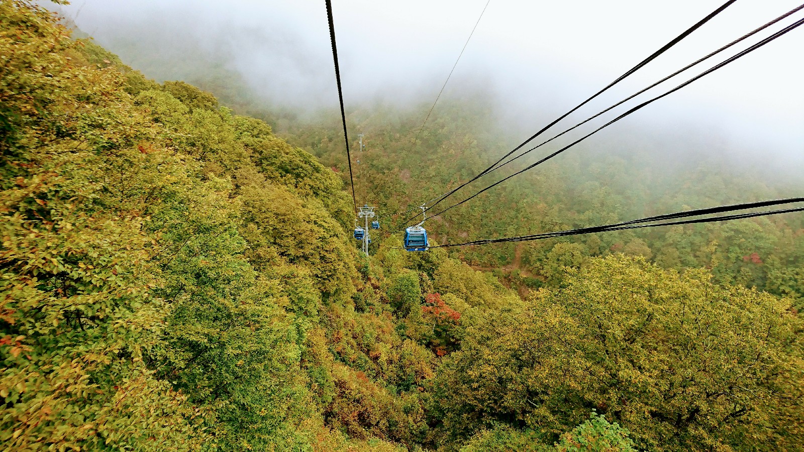 ドラゴンドラに乗るバスツアー始まりました！,毎年大人気の田代ロープウェーと苗場ドラゴンドラに乗る半日バスツアーが昨日からスタートいたしました！,ロープウェーやドラゴンドラの途中は見頃までもう少し時間がかかりそうですが、頂上はちょっとずつ紅葉になってきていました！ ,田代ロープウェーや苗場ドラゴンドラから見る二居湖はとってもきれいでしたよ～～♪ ,あてま高原リゾートべルナティオ