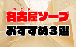 岐阜駅周辺の風俗店おすすめランキングBEST20【2024年最新版】