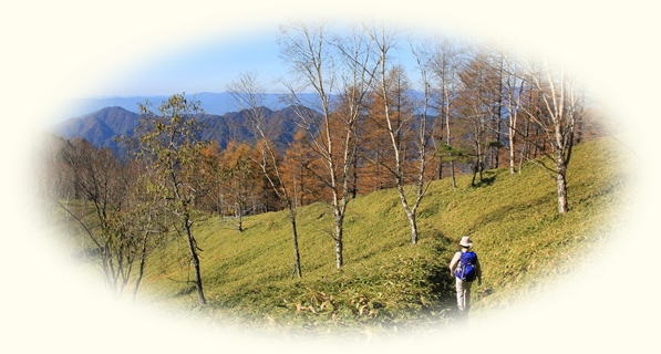 御池観光スポット宮崎県公式観光サイト「みやざき観光ナビ」