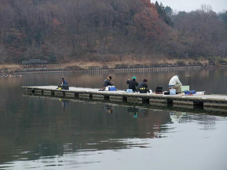 ☆思い出アーカイブ 丹生湖の釣り情報 WAKASAGI PRESS