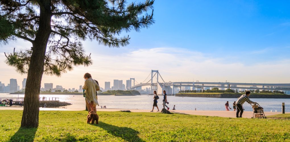 東京ベイエリア 写真素材5481037- フォトライブラリ