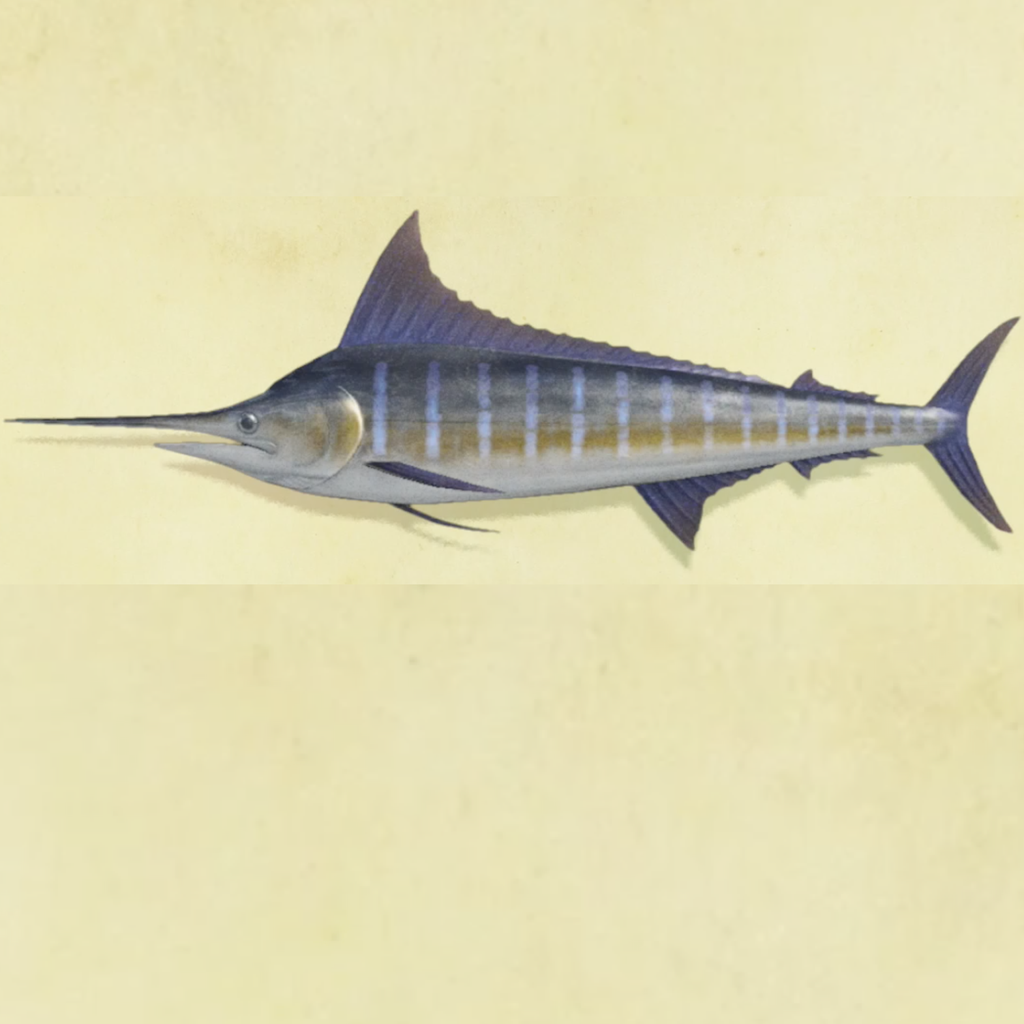 あつ森 2025年版 魚の値段ランキング10月最新版 あつまれどうぶつの森- アルテマ