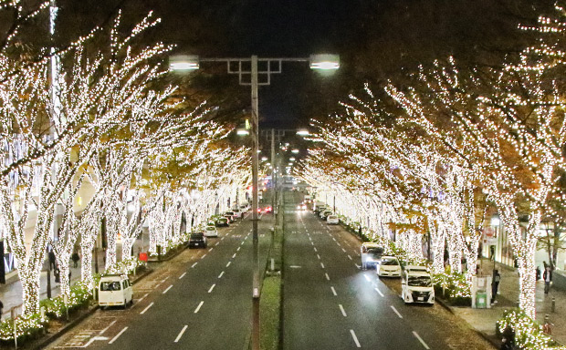 2024-2025 表参道イルミネーション最新情報まとめ！人気イベントやスポットを紹介aumo アウモ