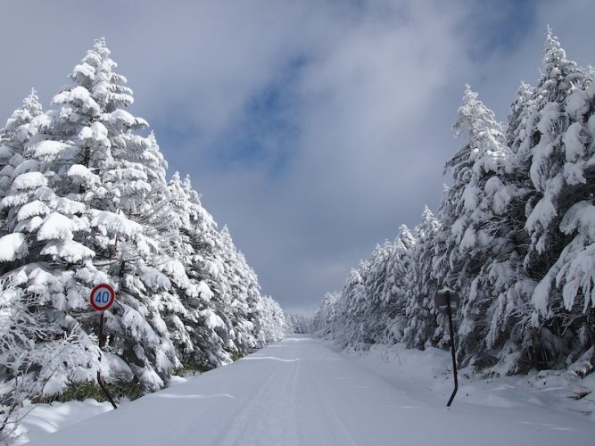 日本で２番目に高い国道 メルヘン街道開通式が行われました「旬」の宅配便～佐久っと通信～