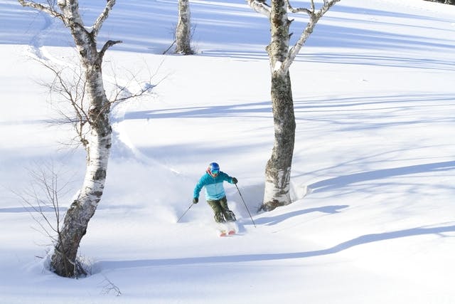 隠れ家的存在のスキー場 - やぶはら高原スキー場のクチコミ - じゃらんnet