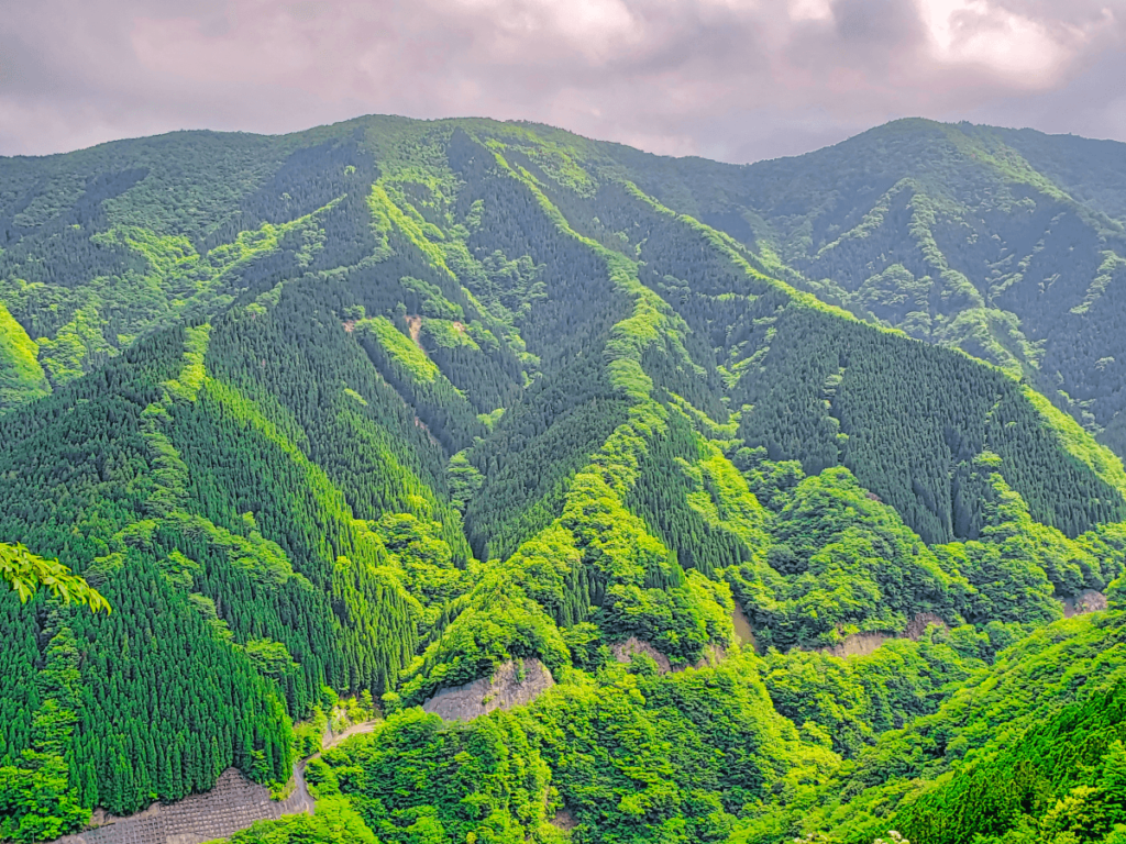 定番から穴場まで！奈良県のおすすめ観光スポット30選 - Tripa トリパ 旅のプロがお届けする旅行に役立つ情報