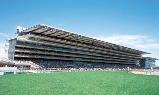 10・6凱旋門賞の発走時刻が当初より15分遅れて23時20分に 東京競馬場のパブリックビューイングも15分延長競馬ニュース・特集なら東スポ競馬