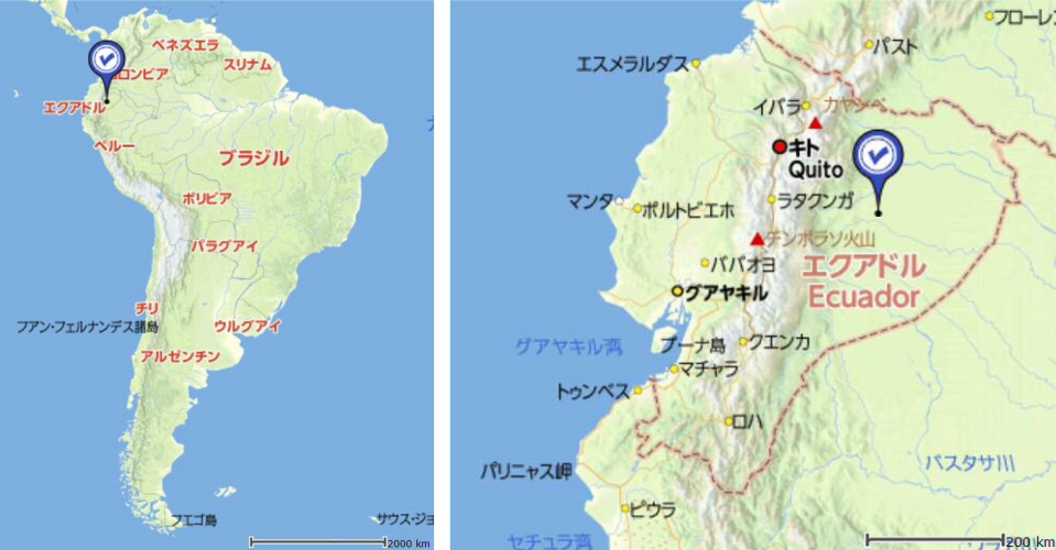 リバークルーズ