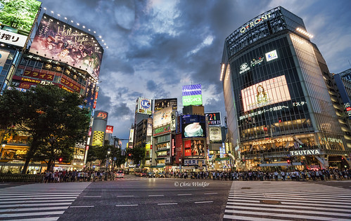 足利に「渋谷の名所」 スクランブル交差点 実物大、撮影セット公開きたかんナビ