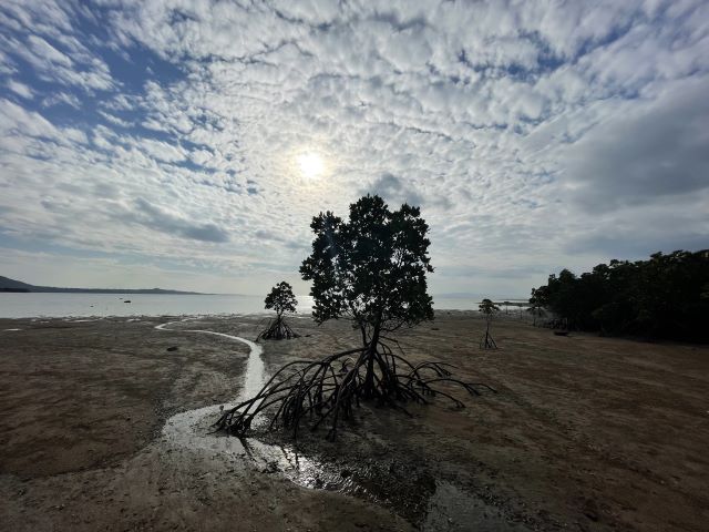 名蔵湾やえやまなび