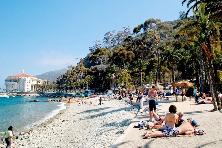 3,975 サンタカタリナ島 Stock Photos, High-Res Pictures, and Images - Getty Imagesロサンゼルス