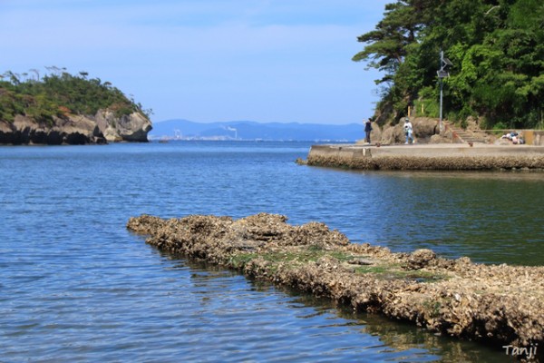 震災遺構と宮戸島ドライブ記 宮城県東松島市・石巻市 わさびだし