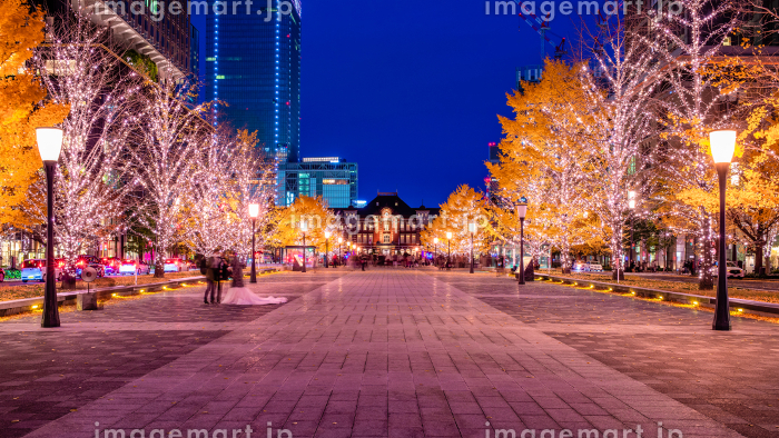 東京都内＆関東のイルミネーション2021、クリスマスや冬デートにおすすめ遊園地や有名スポットを特集 - ファッションプレス