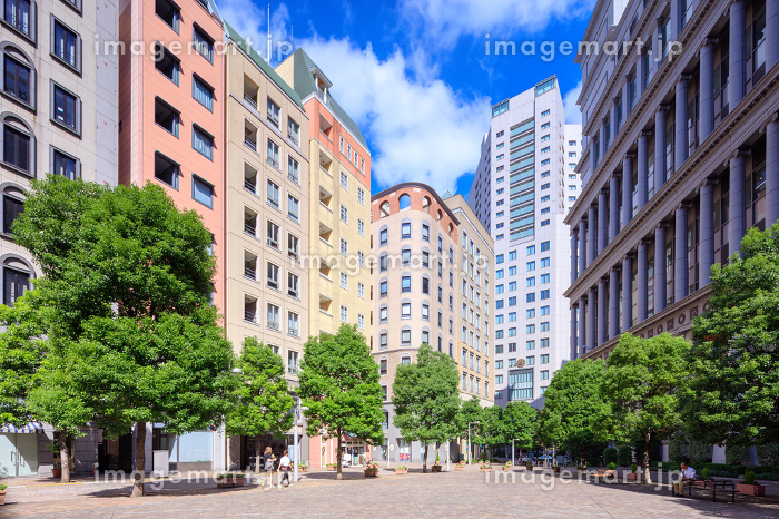 イタリア街花散歩