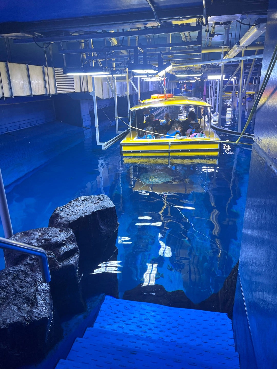 ドバイ水族館 ドバイ モールを彩る巨大水槽 幅32メートルの青き壁 ドバイ旅行記 8 - 書く書く しかじか