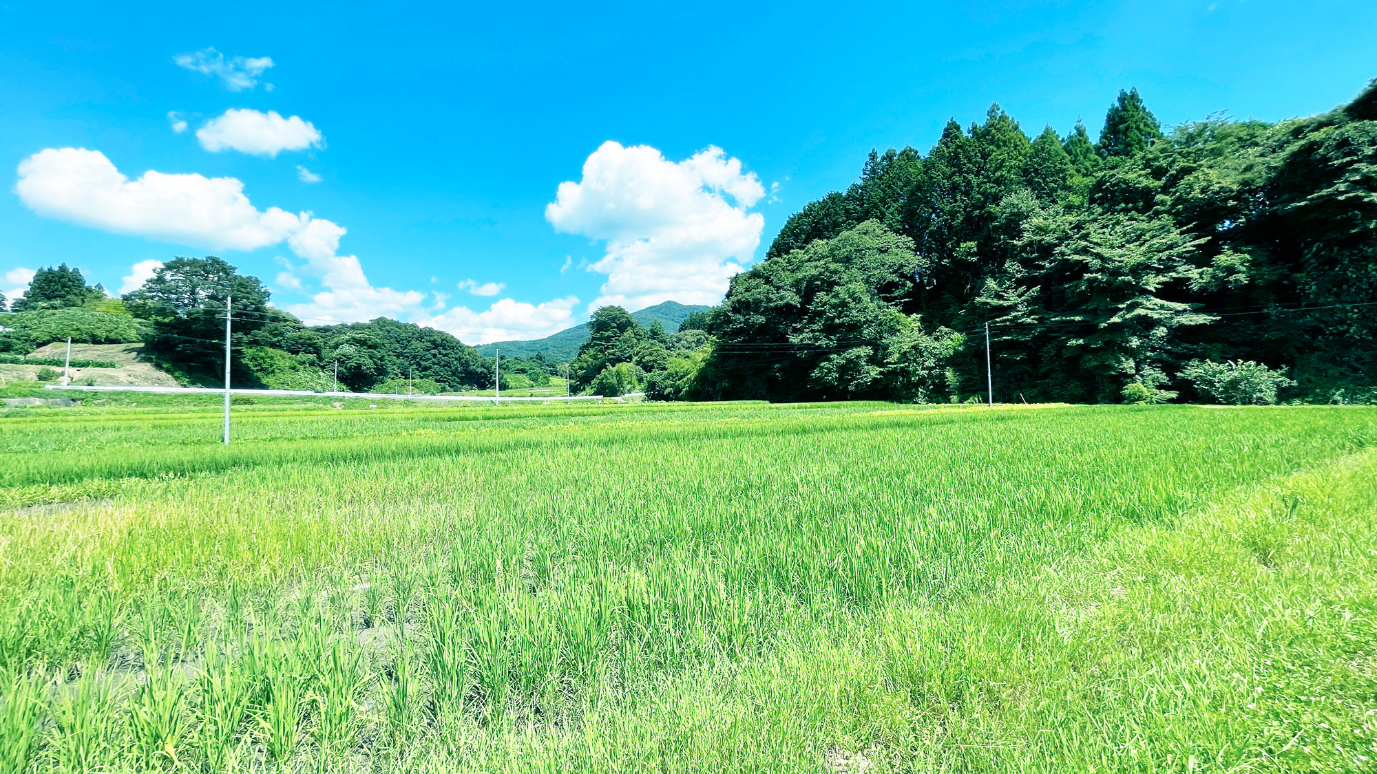 Tourism」おしゃれまとめの人気アイデアPinterestYodie Effendie田舎 風景, 夏 風景, 風景