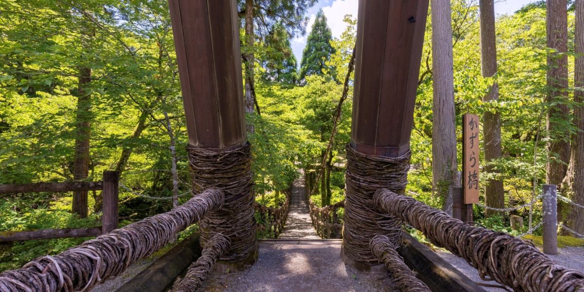 公式 福井県池田町かずら橋.﻿おしらせ ﻿ かずら橋料金所の後ろから降りれる遊歩道の先に多数のクマの形跡が発見されました🐻﻿しばらくは小さな橋より奥の遊歩道は通行禁止にします🚫﻿ かずら橋より下流の方は大丈夫だと思いますが、散策・水遊びをされる方は十分