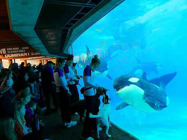 シーワールド・サンディエゴ