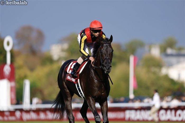 凱旋門賞 フランス馬ダリズがG1初制覇！日本馬の夢は持ち越しに競馬ニュース競馬ラボ