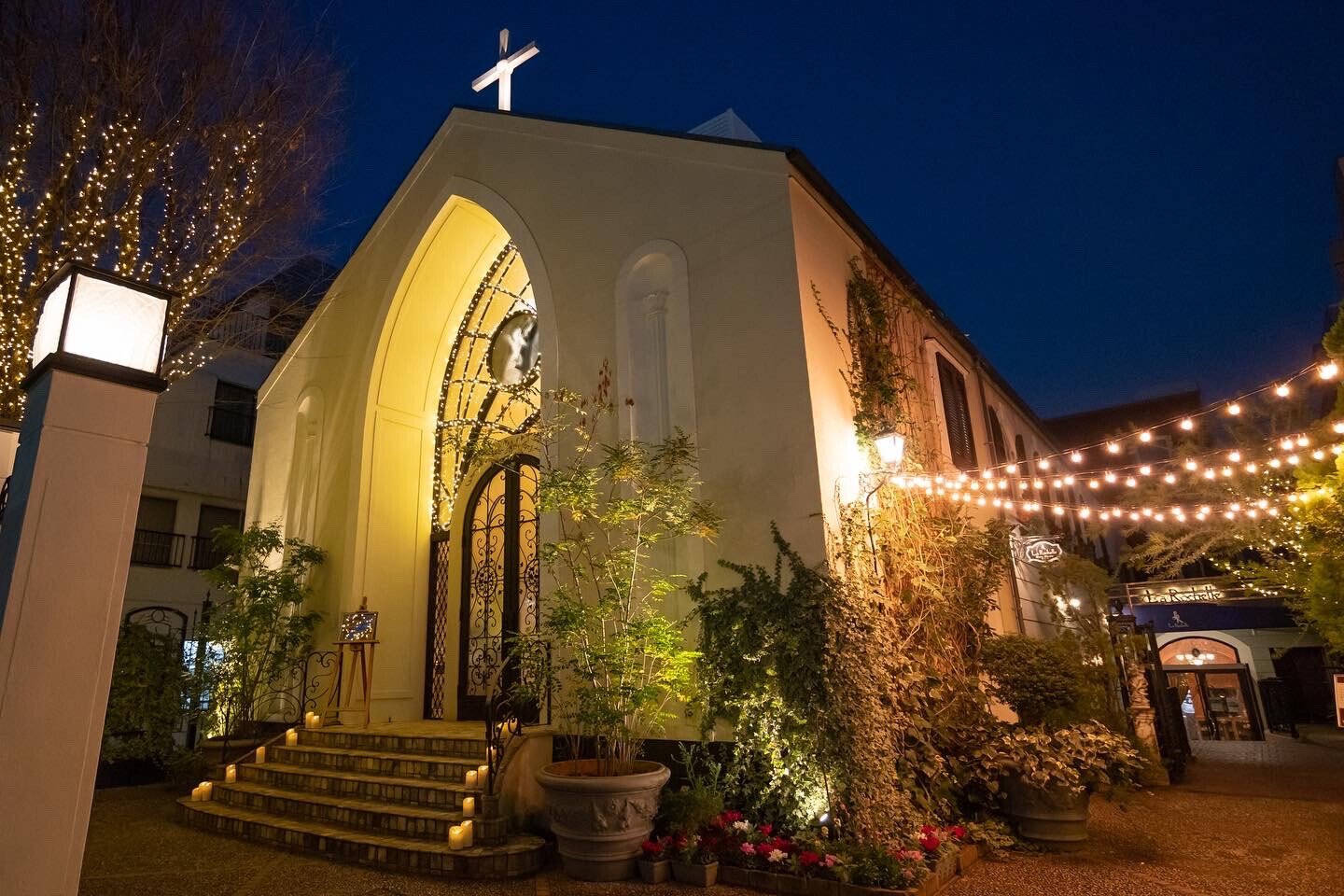 2023年見納め 表参道イルミネーション 東京都渋谷区Luna Subito- エキスパート - Yahoo!ニュース