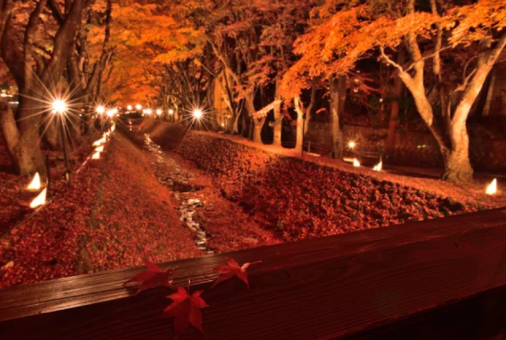 河口湖もみじ回廊RETRIP リトリップ