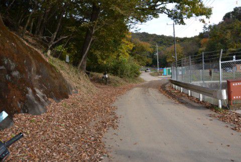 藪塚石切場跡Bunny The Flatincluding 徒然鉄