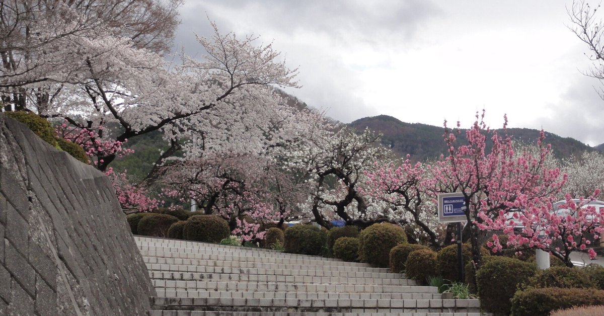 釈迦堂遺跡博物館 on X: