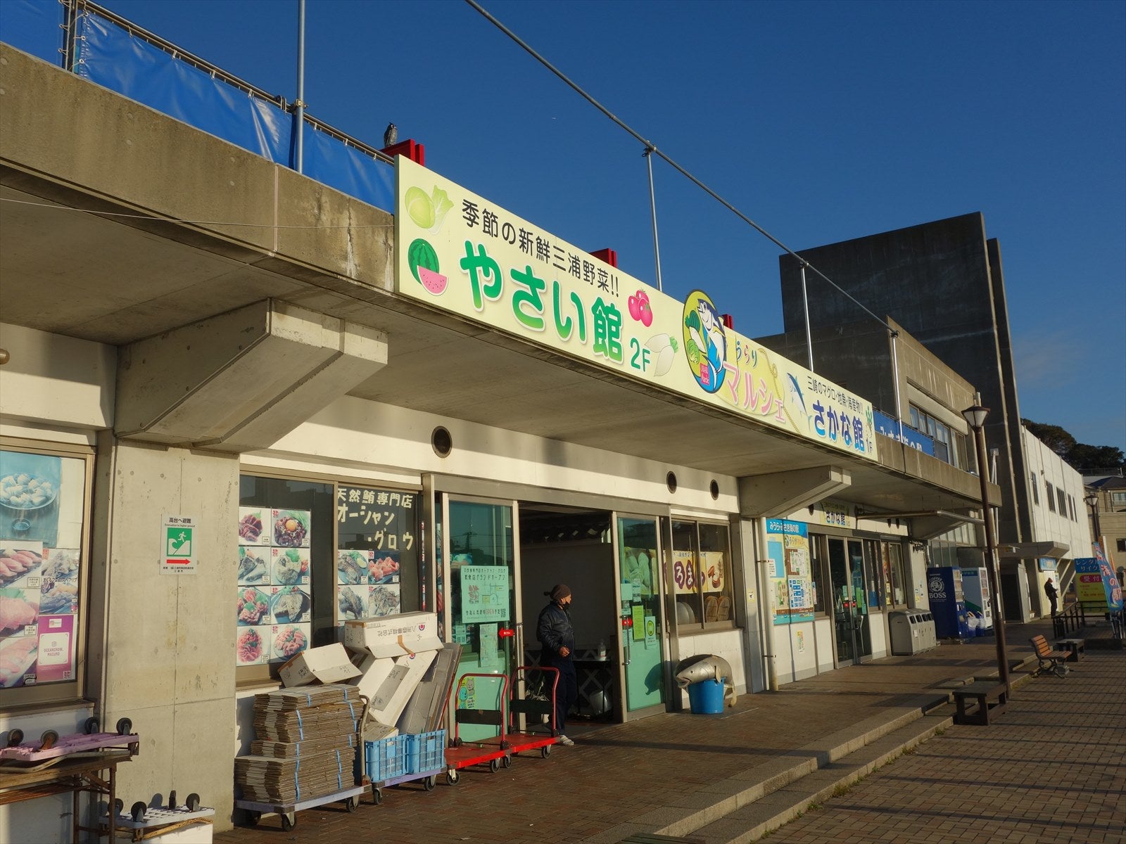三浦半島のグルメを堪能！三崎港の市場「うらりマルシェ」食べ歩きも楽しもうたびらい観光情報