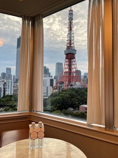 ホテル椿山荘東京 新たな“光の絶景スポット”「森のオーロラ」公開THE-SELECTION MAGAZINE