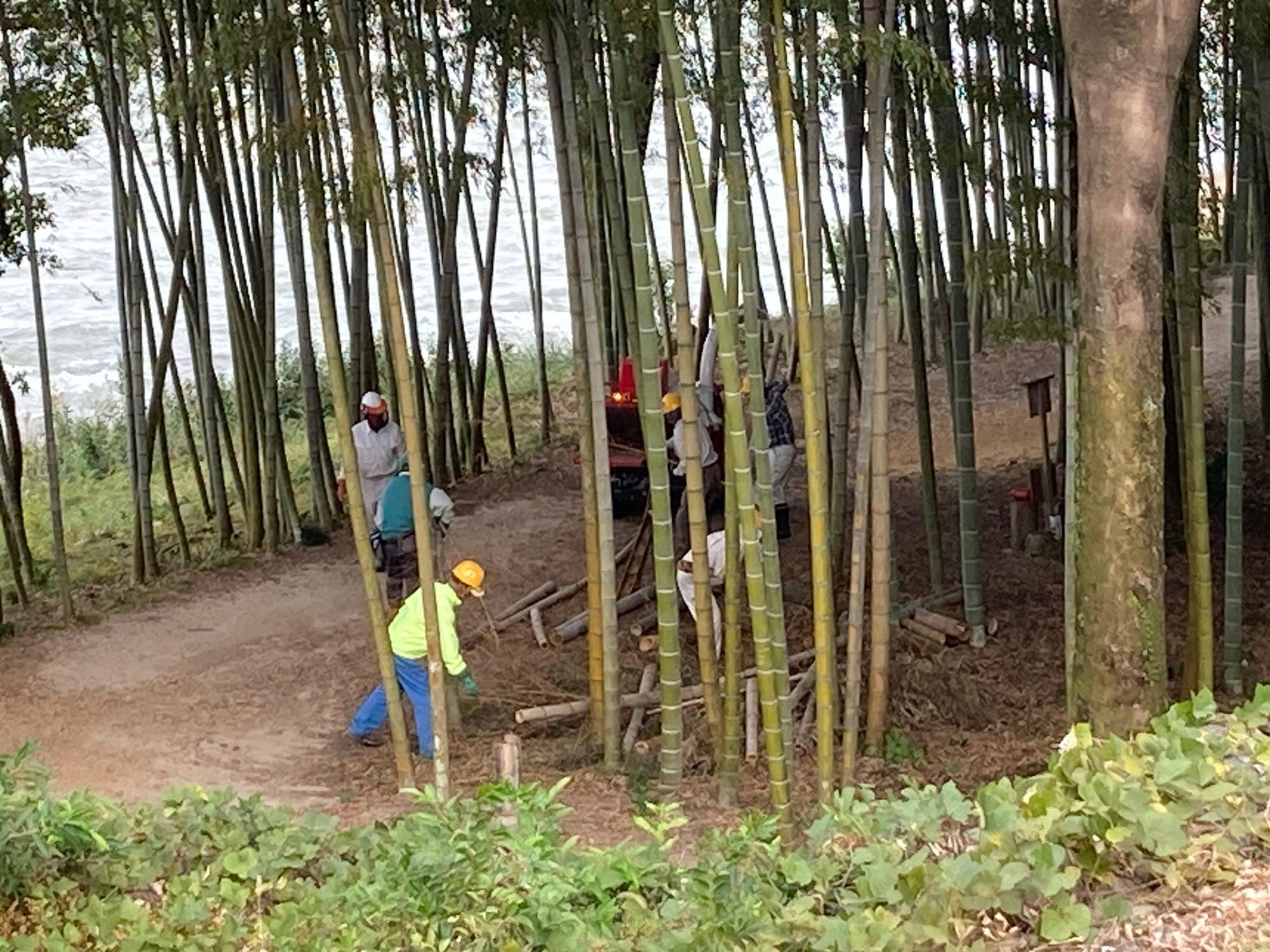 木曽川渡しの遊歩道・かぐや姫の散歩道@岐阜県・可児市縁 -en-PHOTO&MOVIE ニューボーンフォト・ロケーション撮影・出張撮影 岐阜 愛知 三重