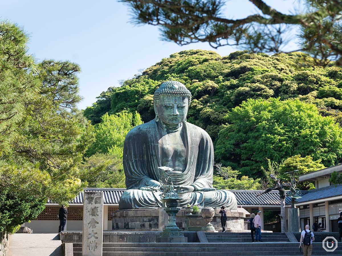 高徳院 鎌倉大仏アクセス・営業時間・料金情報 - じゃらんnet