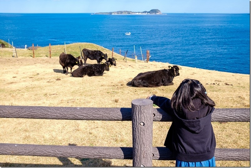 杉ノ原放牧場旅サラダPLUS 観光・お出かけSPOT