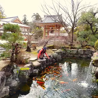 神体山の鏑射山 かぶらいやま へともさんの大岩ヶ岳の活動データYAMAPヤマップ