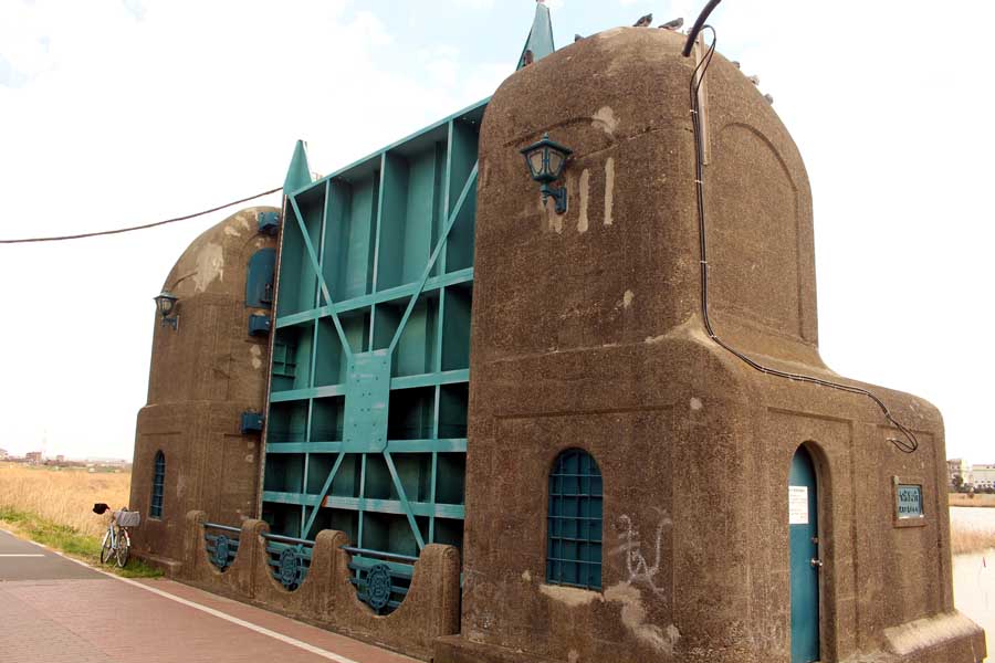 多摩川の下流域、六郷の土手にも、ハマダイコンの花が咲いていた。: 江戸東京野菜通信大竹道茂の伝統野菜に関する情報ブログ