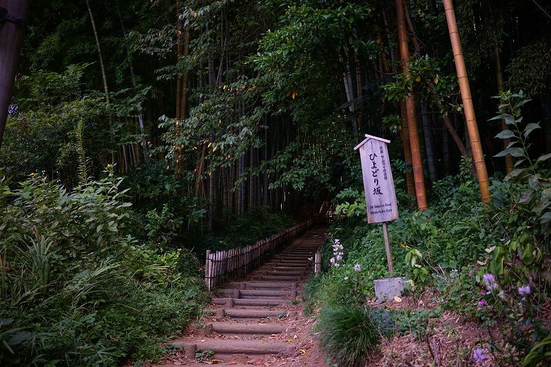 佐倉城址公園＆ひよどり坂 行ってきました - A&Aママの日記