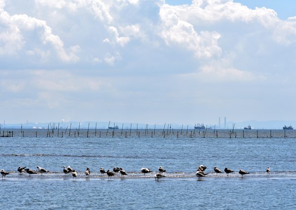 第二東京湾岸道が18年ぶり再始動日経クロステック xTECH