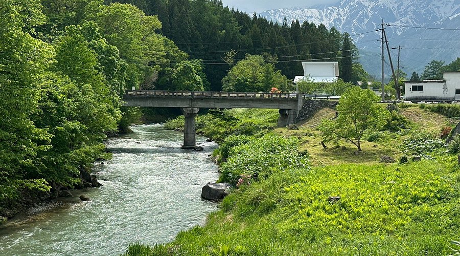 2025年 大出の吊橋 - 出発前に知っておくべきことすべて - トリップアドバイザ