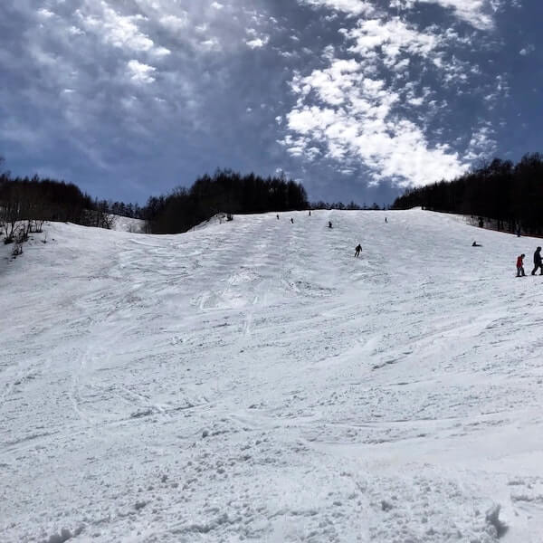 スキー場の写真 : やぶはら高原スキー場 - Snoway スノーウェイ