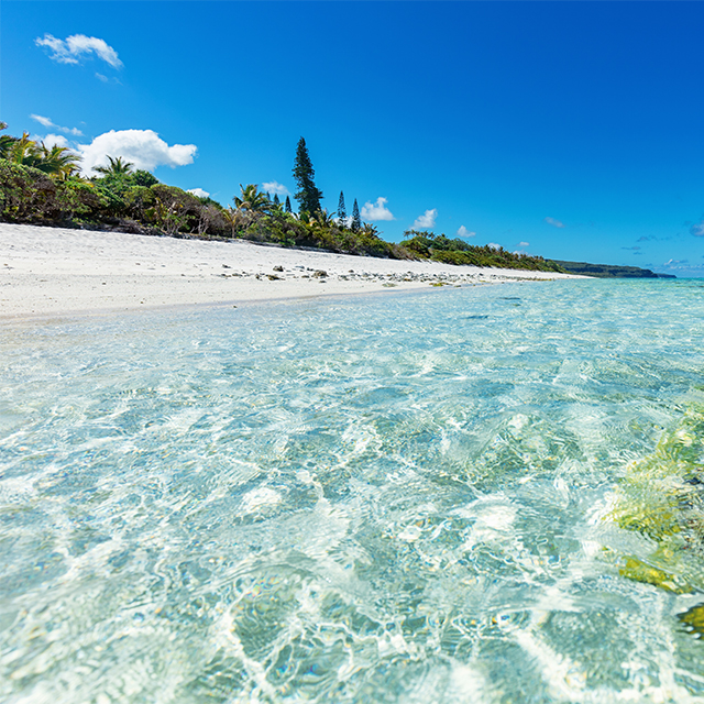 ニューカレドニアでがっかり？後悔しないための旅行計画術後悔しない選択みんなの体験談アーカイブ