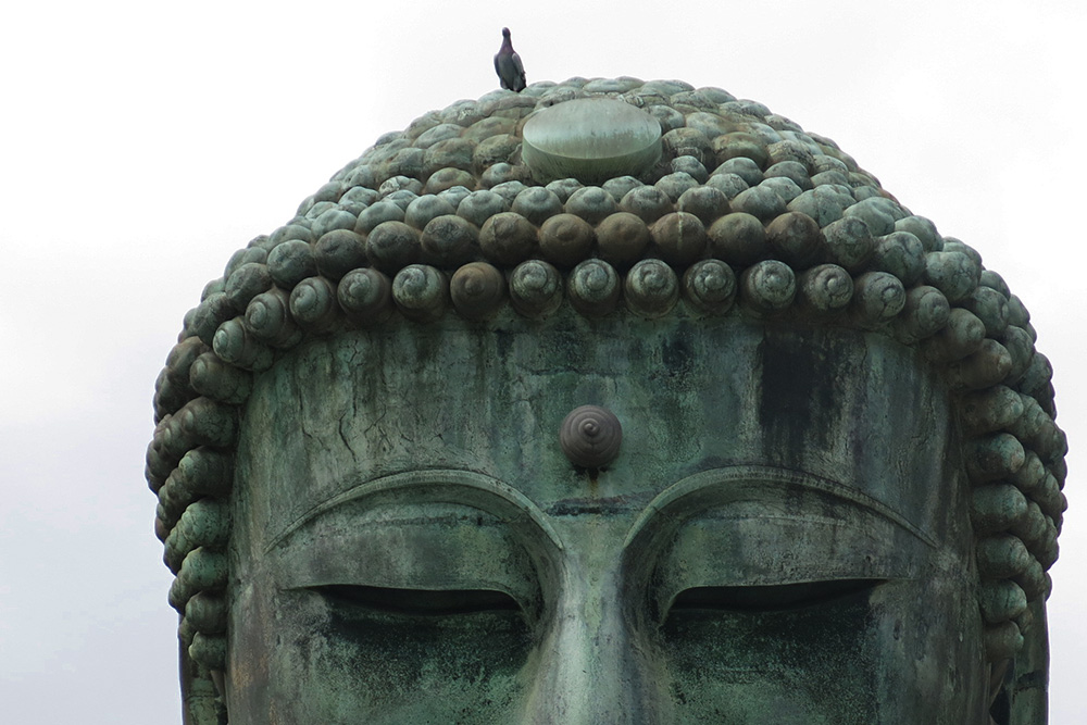 高徳院 鎌倉大仏日本遺産- 鎌倉市観光協会時を楽しむ、旅がある。～鎌倉観光公式ガイド～