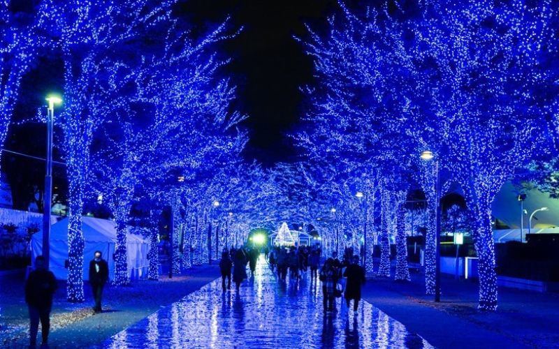 約90万球のLEDライトが復活！ 「表参道イルミネーション 2021」開催中 - イルミラボ