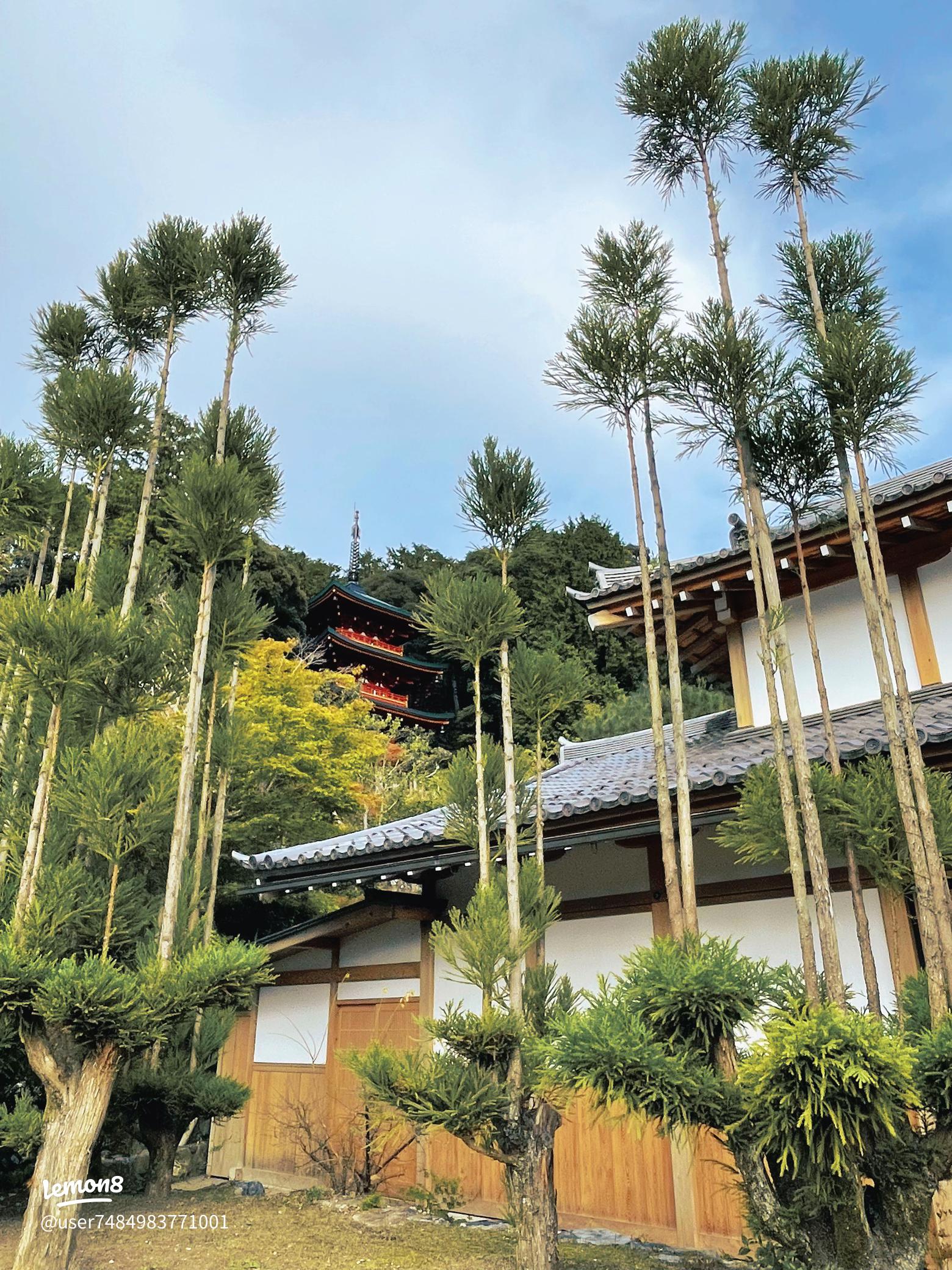 獨鈷山 鏑射寺 口コミ・写真・地図・情報 - トリップアドバイザ