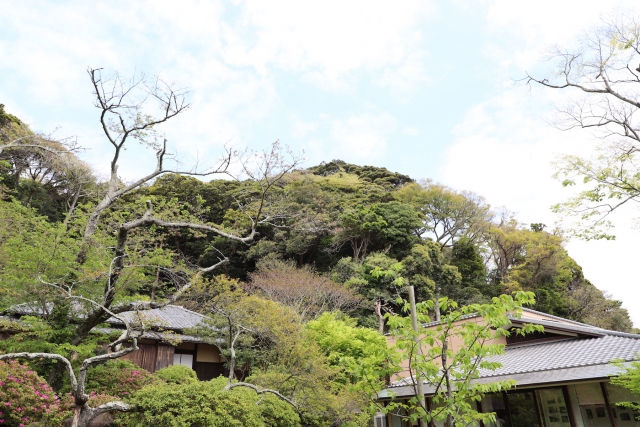 人混みを避けてのんびり＆まったり旅。鎌倉の穴場おすすめ観光スポット8選 神奈川icotto イコット