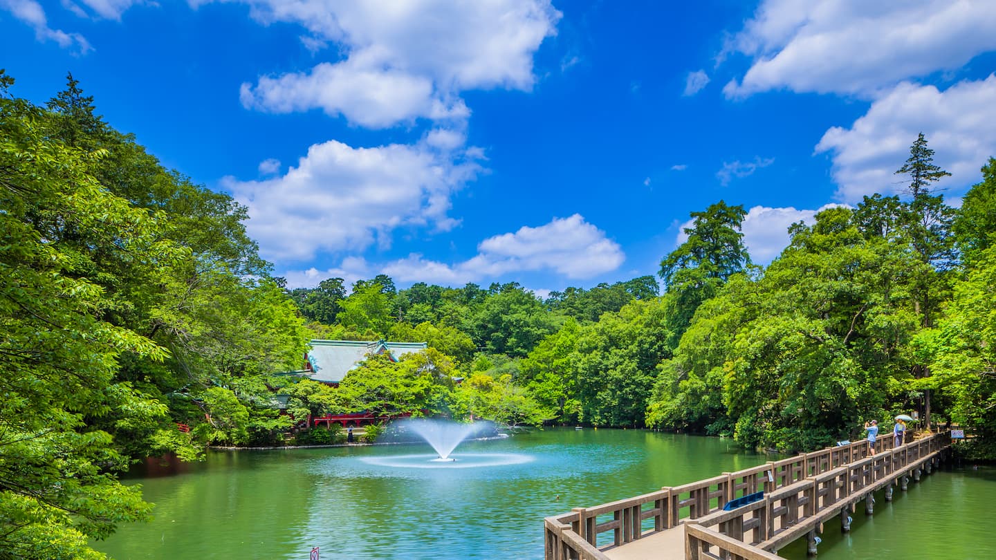 吉祥寺」駅南口から井の頭公園周辺を歩いてみました！いい街探せるエリアガイド「街探 マチタン！ 」中央線 吉祥寺～国立エリア